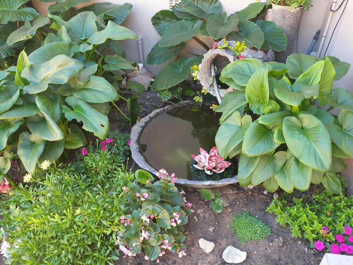 Dilisca Guesthouse Durbanville Zewnętrze zdjęcie